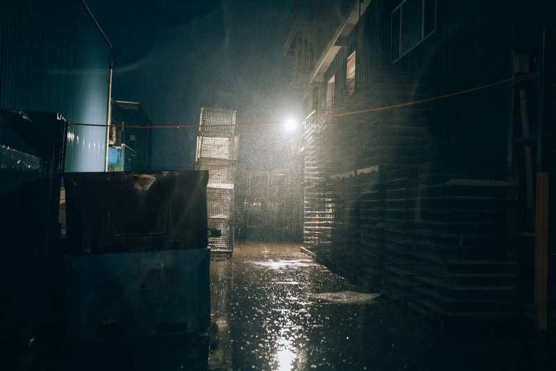 20. Motivation to Adopt Other Healthy Habits